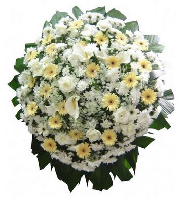 Coroa de Flores Funeral Home F